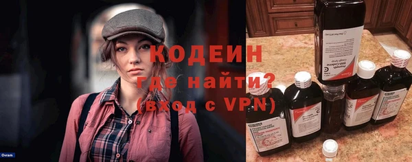 шишки Пестово