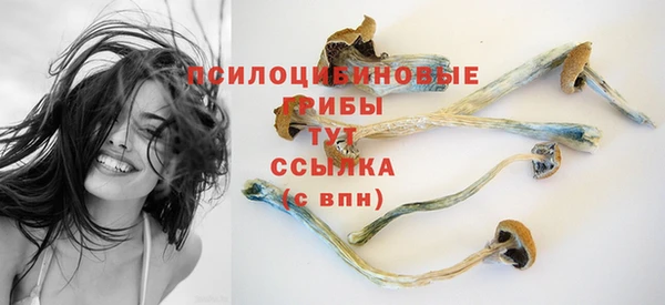 a pvp Краснослободск