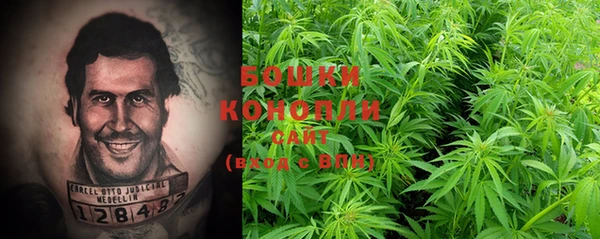 гидропоника Осинники