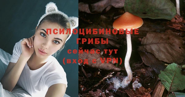 spice Кукмор
