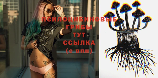 не бодяженный Краснотурьинск