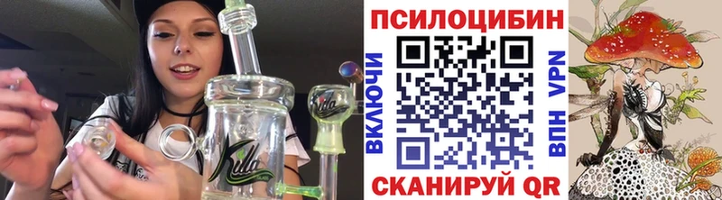 Псилоцибиновые грибы Cubensis Краснокамск