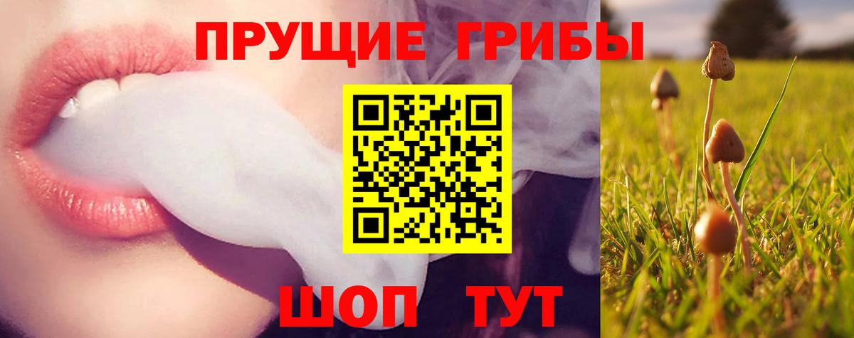 Галлюциногенные грибы MAGIC MUSHROOMS Краснокамск